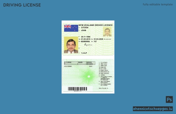 NEUSEELAND grüner Führerschein, vollständig qualifiziert, Beispielvorschau